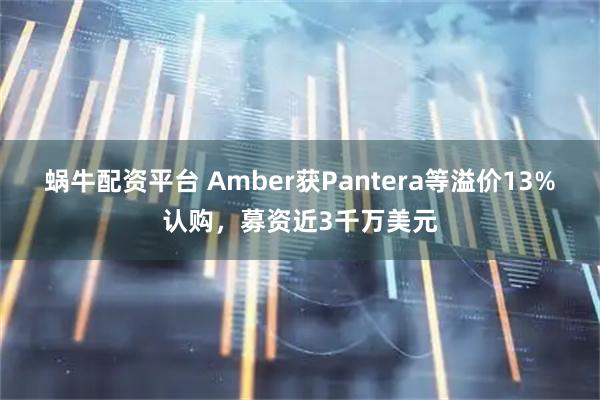蜗牛配资平台 Amber获Pantera等溢价13%认购，募资近3千万美元