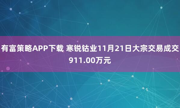有富策略APP下载 寒锐钴业11月21日大宗交易成交911.00万元